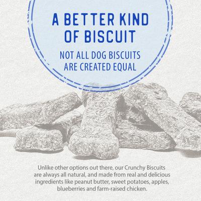 Dodo Chicken with Apple & Blueberry Crunchy Dog Treats, 19.5-oz bag