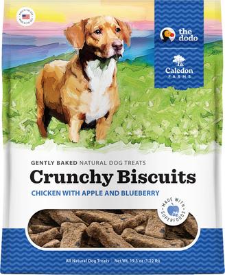 Dodo Chicken with Apple & Blueberry Crunchy Dog Treats, 19.5-oz bag