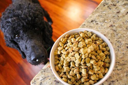 Oven Baked Human Grade Turkey Recipe Dry Dog Food, 5-lb box, 1 count