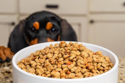 Oven Baked Human Grade Turkey Recipe Dry Dog Food, 5-lb box, 1 count