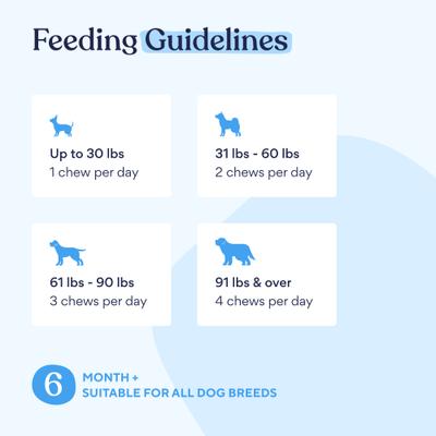 Pain Management Bacon Flavor Chews Dog Supplement, 180 count