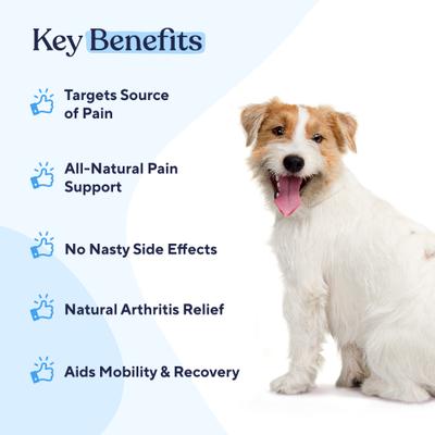 Pain Management Bacon Flavor Chews Dog Supplement, 180 count