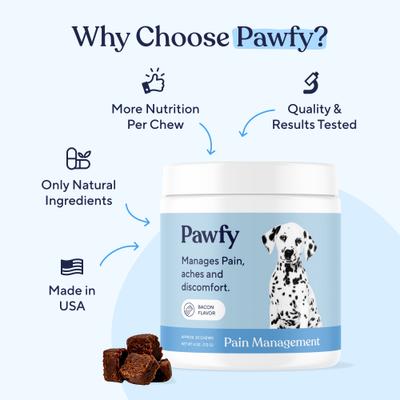 Pain Management Bacon Flavor Chews Dog Supplement, 180 count