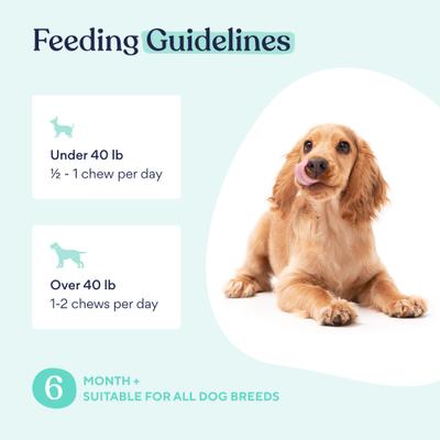 Turkey & Bacon Flavored Chews Probiotic Supplement for Dogs, 30 count, 90 count