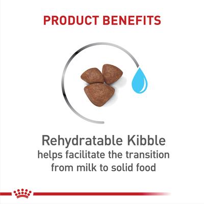 Size Health Nutrition Small Starter Mother & Babydog Dry Dog Food, 14-lb bag