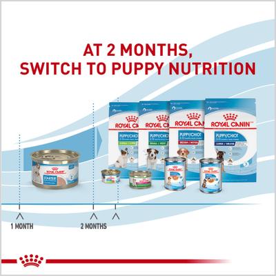 Size Health Nutrition Starter Mother & Babydog Mousse In Sauce Wet Dog Food, 5.1-oz can, case of 24