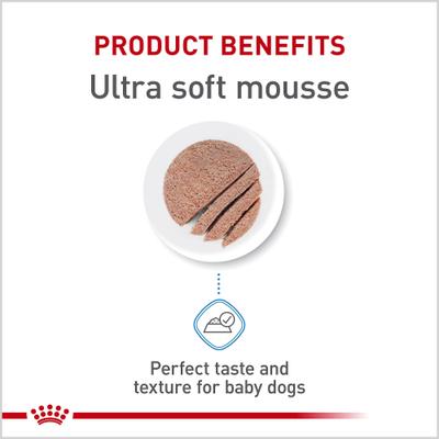 Size Health Nutrition Starter Mother & Babydog Mousse In Sauce Wet Dog Food, 5.1-oz can, case of 24