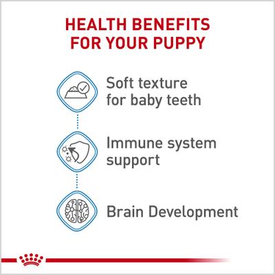 Size Health Nutrition Starter Mother & Babydog Mousse In Sauce Wet Dog Food, 5.1-oz can, case of 24