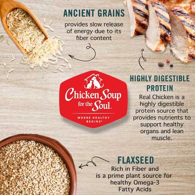 Mature & Senior Chicken, Turkey & Duck Recipe Canned Dog Food, 13-oz, case of 12