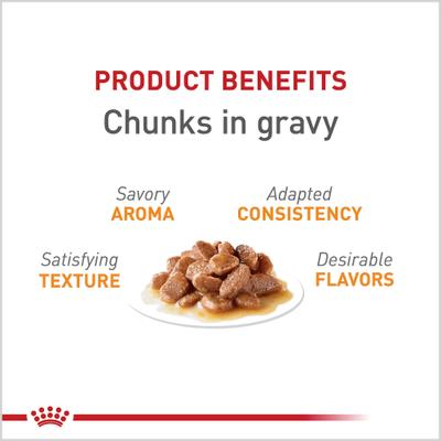 Feline Care Nutrition Hair & Skin Care Chunks in Gravy Pouch Cat Food, 3-oz, case of 12