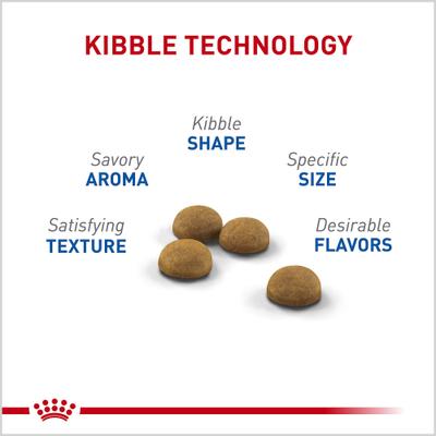 Feline Health Nutrition Indoor Long Hair Adult Dry Cat Food, 6-lb bag