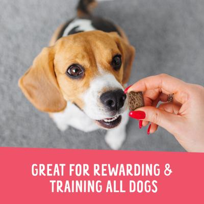 Crunchy Munchies Granola Bites Appley Crisp Dog Treats, 5-oz bag