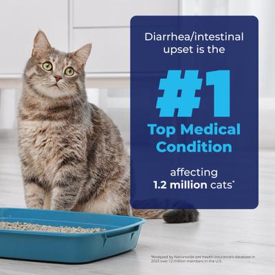 Glandex Feline Anal Gland Support Probiótico y Digestión Suplemento en polvo con sabor a atún para gatos, 2 unidades