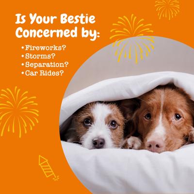 Bundle: Zesty Paws Wild Alaskan Salmon Oil Formula Liquid Skin & Coat Supplement, 32-oz bottle + Hemp Calming Bites Peanut Butter Flavored Soft Chews Composure & Relaxation Supplement for Dogs, 90 count