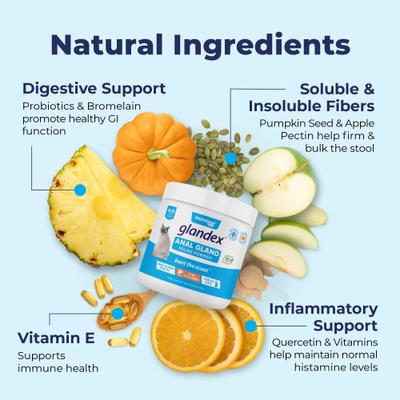 Glandex Feline Anal Gland Support Probiótico y Digestión Suplemento en polvo con sabor a atún para gatos, 2 unidades