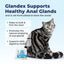 Glandex Feline Anal Gland Support Probiótico y Digestión Suplemento en polvo con sabor a atún para gatos, 2 unidades