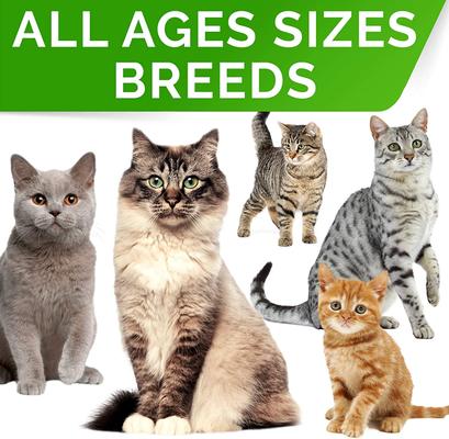 Cat Probiotic Powder & Probiotics with Diarrhea Fiber & Digestive Support Supplement for Cats, 2 count