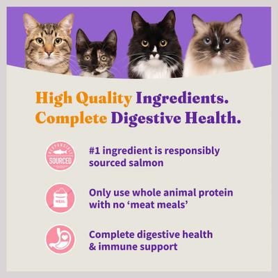 Holistic Grain-Free Wild-Caught Salmon & Whitefish Recipe Complete Digestive Health Dry Kitten Food, 6-lb bag