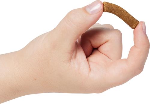 Earthbites Lamb Flavored Grain-Free Soft & Chewy Dog Treats, 7-oz bag