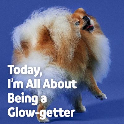 Omega-3 Fish Oil Liquid Skin & Coat Supplement for Dogs, 16-oz, bundle of 3