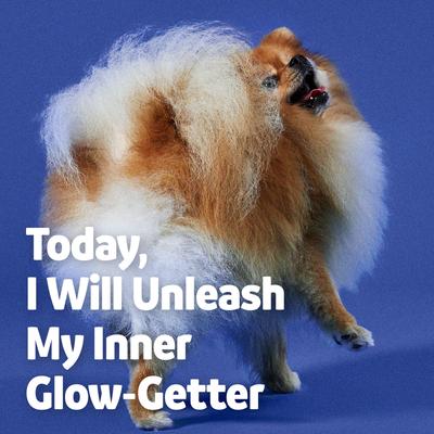 Suplemento líquido para piel y pelaje de perros y gatos con aceite de salmón salvaje de Alaska, botella de 32 onzas líquidas, paquete de 2