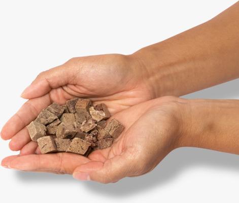 Beef Liver Grain-Free Freeze-Dried Dog Treats, 2-oz bag