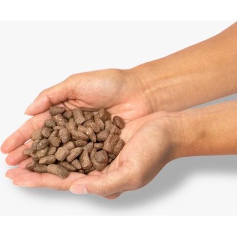 Alimento liofilizado para perros con receta de pollo crudo, sin cereales, bolsa de 15 oz