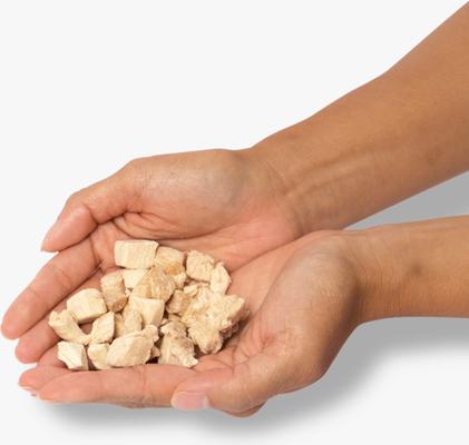 Chicken Breast Grain-Free Freeze-Dried Dog Treats, 2-oz bag