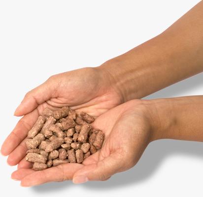 Duck Morsel Grain-Free Freeze-Dried Dog Treats, 2-oz bag