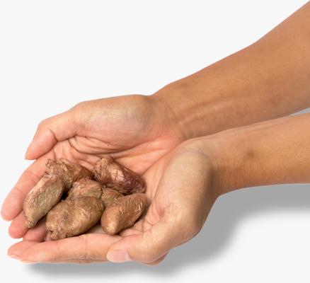 Chicken Heart Grain-Free Freeze-Dried Dog Treats, 2-oz bag