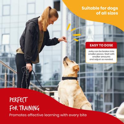 Duck Strips Jerky Dog Treats, 1.58-oz bag, case of 12