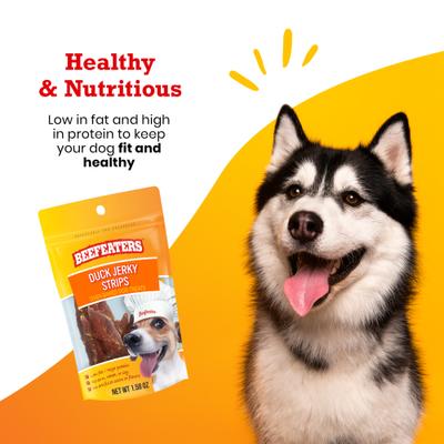 Tiras de pato para golosinas de carne seca para perros, bolsa de 1.58 oz, caja de 12