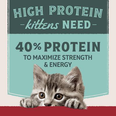 Ultra Protein Chicken & Chicken Meal Recipe Kitten Dry Cat Food, 6-lb bag