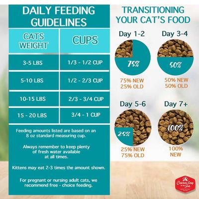 Salmon & Legumes Recipe Grain-Free Dry Cat Food, 12-lb bag