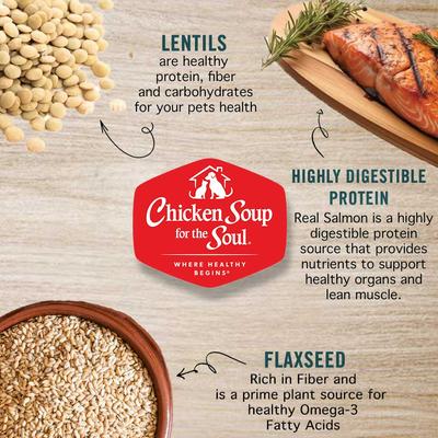 Salmon & Legumes Recipe Grain-Free Dry Cat Food, 12-lb bag