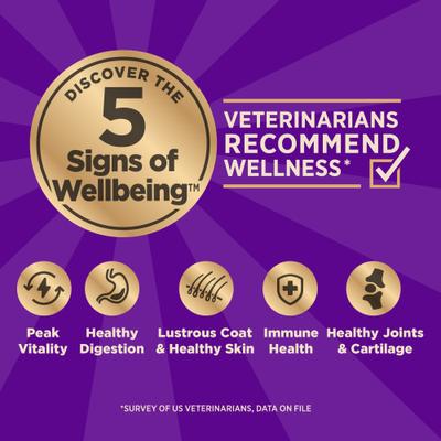 CORE+ Beef & Barley Grained Natural Adult Dry Dog Food, 18-lb bag