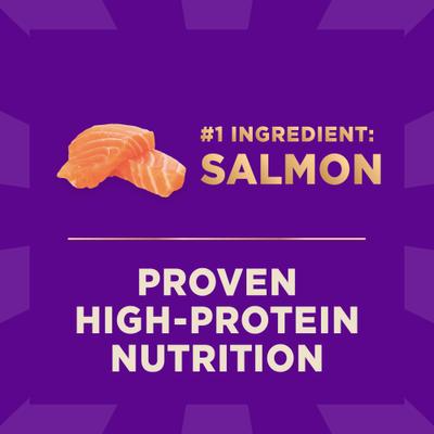 CORE+ Sensitive Skin & Stomach Natural Adult Salmon & Rice Recipe Dry Dog Food, 4-lb bag