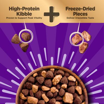 CORE+ Sensitive Skin & Stomach Natural Adult Salmon & Rice Recipe Dry Dog Food, 4-lb bag