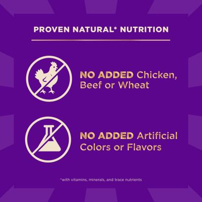 CORE+ Sensitive Skin & Stomach Natural Adult Salmon & Rice Recipe Dry Dog Food, 4-lb bag