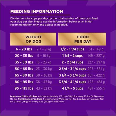 CORE+ Beef & Barley Grained Natural Adult Dry Dog Food, 18-lb bag