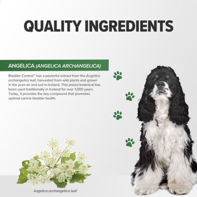 Bladder Control Dog Supplement, 30 count