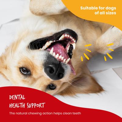 Triple Flavor Ribs Jerky Dog Treats, 1.65-oz, case of 12