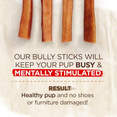 6-inch Extra Thick Bully Sticks Dog Treats, 2 count