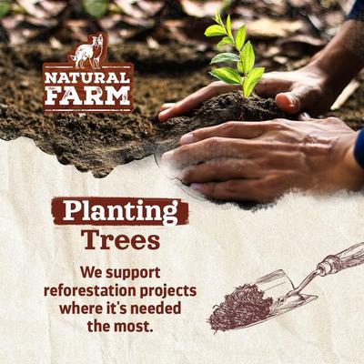 6-inch Gullet Sticks Dog Chews, 50 count