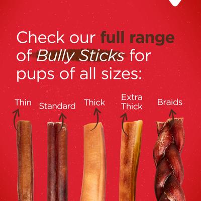 6-inch Extra Thick Bully Sticks Dog Treats, 2 count