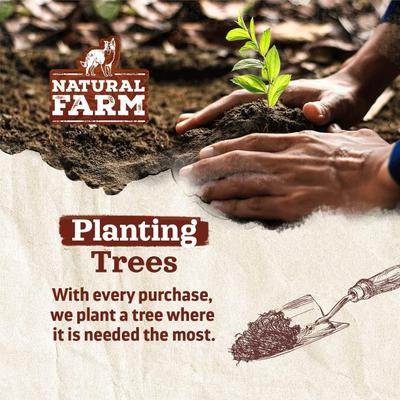 Stuffed Hooves Sweet Potato Flavor Dog Chews, 4 count