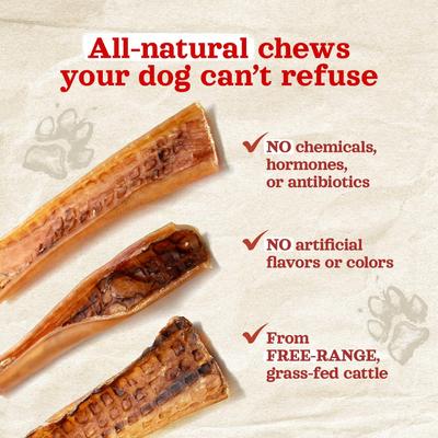 9 to 12-inch Bully Chips Dog Treats, 8-oz bag