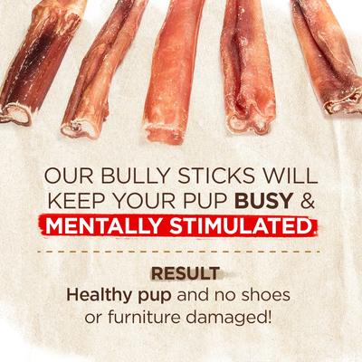 2 to 5-inch Eccentric Bully Sticks Dog Treats, 8-oz bag