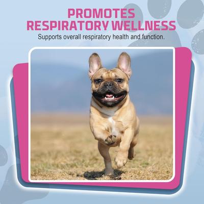 All Natural Cat & Dog Respiratory Solution & Immune Support, 16-fl oz bottle