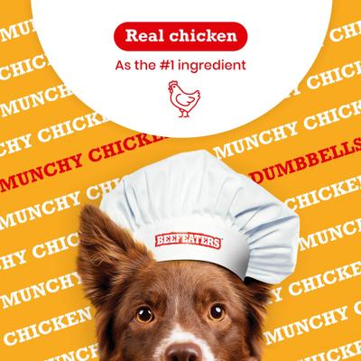 Munchy Chicken Dumbbells Jerky Dog Treat, 4.5-oz bag